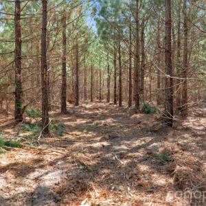 Photo #23 of 931 Charlie Johnson, Kershaw, SC