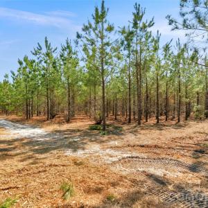 Photo #15 of 931 Charlie Johnson, Kershaw, SC