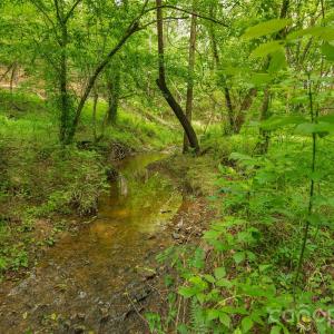 Photo #2 of Lucy Short Cut, Marshville, NC