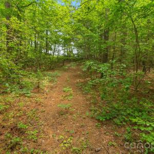 Photo #22 of Lucy Short Cut, Marshville, NC