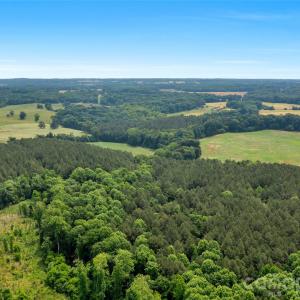 Photo #1 of Lucy Short Cut, Marshville, NC