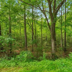 Photo #14 of Lucy Short Cut, Marshville, NC