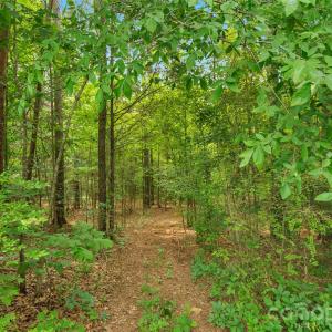 Photo #27 of Lucy Short Cut, Marshville, NC