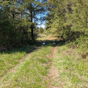 Photo #6 of Tract 23 Hwy 72, Rock Hill, SC