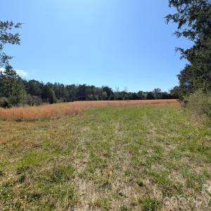 Photo #16 of Tract 23 Hwy 72, Rock Hill, SC