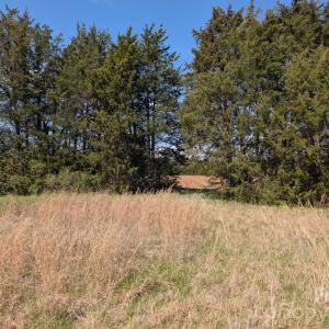 Photo #24 of Tract 23 Hwy 72, Rock Hill, SC