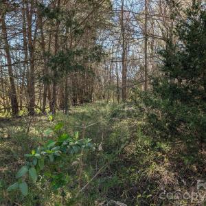 Photo #38 of Tract 23 Hwy 72, Rock Hill, SC