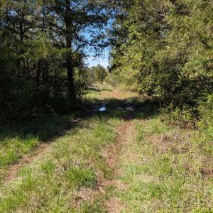Photo #8 of Tract 23 Hwy 72, Rock Hill, SC