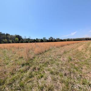 Photo #22 of Tract 23 Hwy 72, Rock Hill, SC