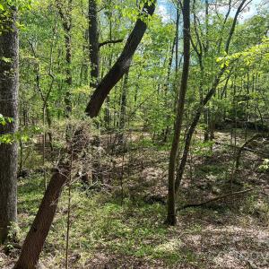 Photo #14 of 623 Mystic Way, Waxhaw, NC