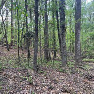 Photo #7 of 623 Mystic Way, Waxhaw, NC