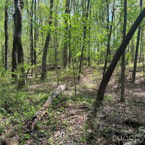 Photo #11 of 623 Mystic Way, Waxhaw, NC