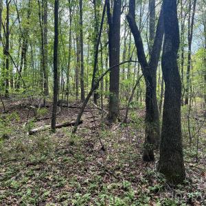 Photo #10 of 623 Mystic Way, Waxhaw, NC