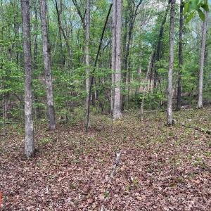 Photo #9 of 623 Mystic Way, Waxhaw, NC