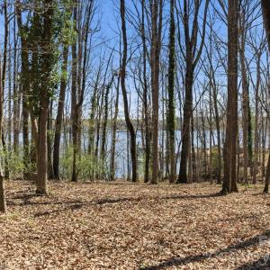 Photo #35 of 3883 Marlette, York, SC