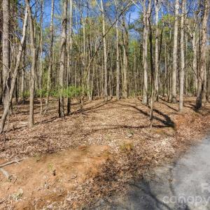 Photo #40 of 3883 Marlette, York, SC