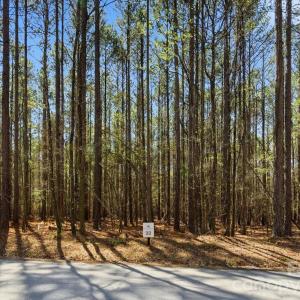 Photo #44 of 3883 Marlette, York, SC