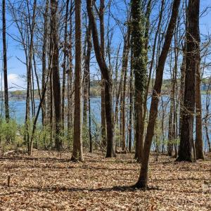 Photo #35 of 3883 Marlette, York, SC