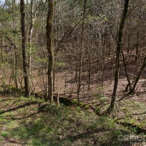 Photo #1 of Morton, Polkton, NC