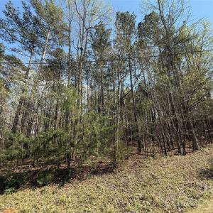Photo #3 of TBD Goldmine, Wadesboro, NC