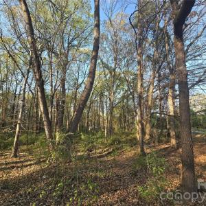 Photo #4 of Aziza, Rock Hill, SC