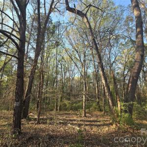 Photo #5 of Aziza, Rock Hill, SC