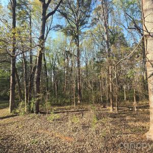 Photo #2 of Aziza, Rock Hill, SC