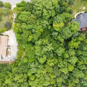 Photo #4 of 845 Savile, Fort Mill, SC