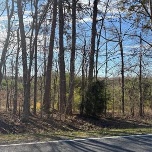 Photo #9 of Silver, Oakboro, NC