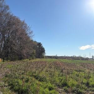 Photo #17 of Silver, Oakboro, NC