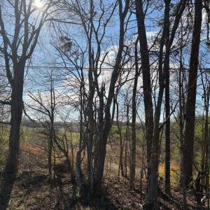 Photo #13 of Silver, Oakboro, NC