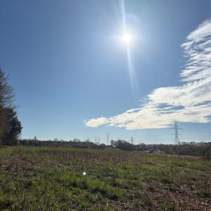 Photo #15 of Silver, Oakboro, NC