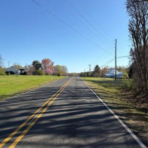 Photo #14 of Silver, Oakboro, NC