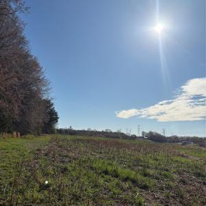 Photo #16 of Silver, Oakboro, NC