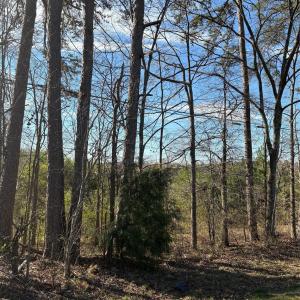 Photo #12 of Silver, Oakboro, NC