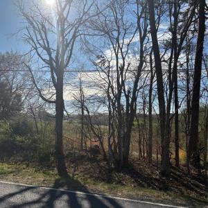 Photo #11 of Silver, Oakboro, NC