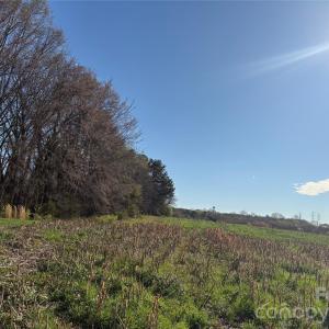 Photo #8 of Silver, Oakboro, NC