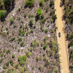 Photo #4 of McQueen, Patrick, SC