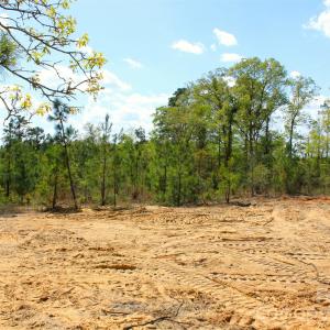 Photo #21 of McQueen, Patrick, SC