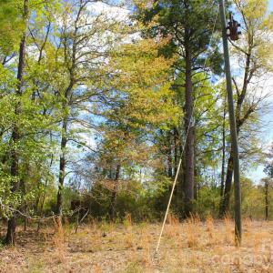 Photo #25 of McQueen, Patrick, SC