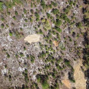 Photo #3 of McQueen, Patrick, SC