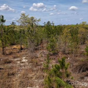 Photo #12 of McQueen, Patrick, SC