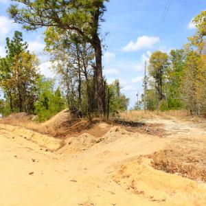 Photo #20 of McQueen, Patrick, SC