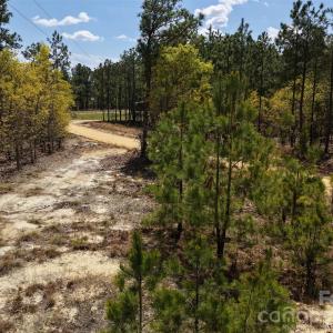 Photo #13 of McQueen, Patrick, SC