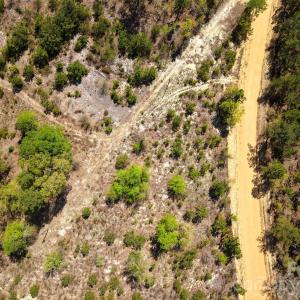 Photo #5 of McQueen, Patrick, SC