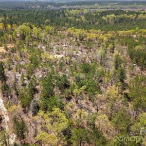 Photo #8 of McQueen, Patrick, SC