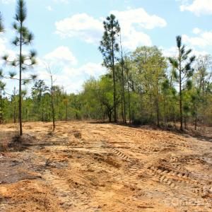 Photo #22 of McQueen, Patrick, SC