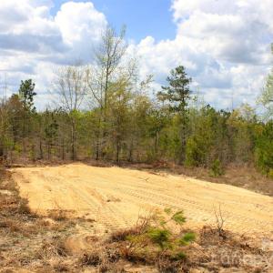 Photo #23 of McQueen, Patrick, SC