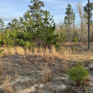 Photo #19 of McQueen, Patrick, SC