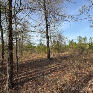 Photo #18 of McQueen, Patrick, SC